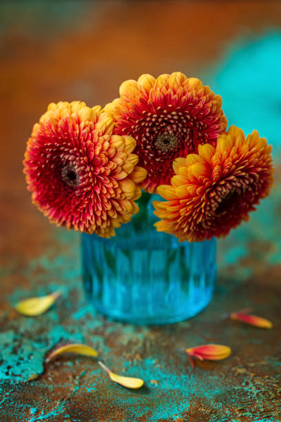 istock Gerbera flowers in a blue vase, selective focus 1429133595