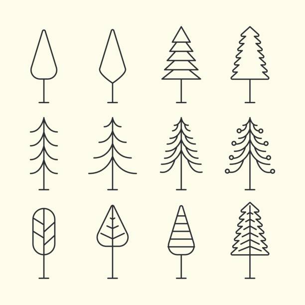 set pine line art logo vector template illustration design. tree bundle logo concept set pine line art logo vector template illustration design. tree bundle logo concept huangshan mountains stock illustrations