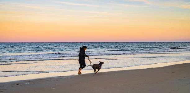 istock girl  on the beach with her dog 1429137619