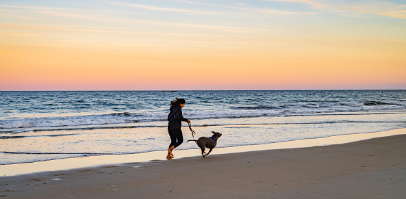 girl playing and running on the beach with her dog