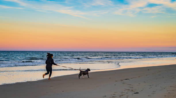 istock girl  on the beach with her dog 1429137730