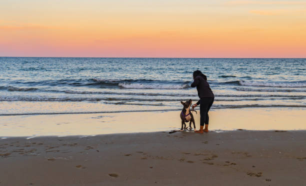 istock girl  on the beach with her dog 1429137744