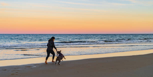 istock girl  on the beach with her dog 1429137824