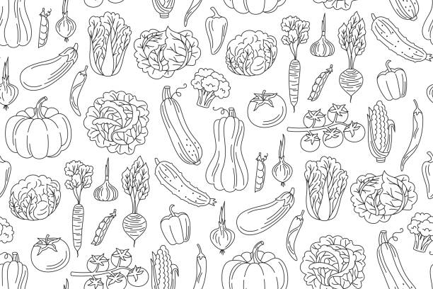 warzywa doodle bezszwowy wzór tapety zdrowa dieta żywność produkt rolny warzywa niekończący się ornament - zucchini vector vegetable food stock illustrations