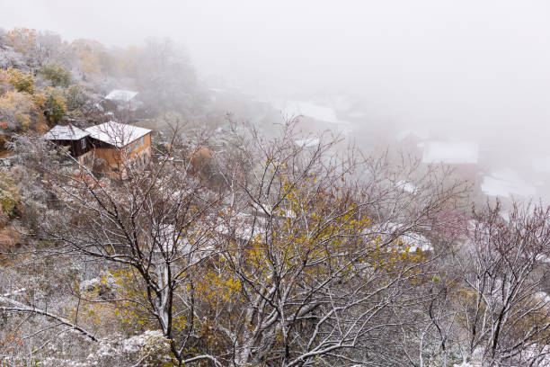 Snow-covered trees and rooftops in Gunib village, Dagestan, Russia. The famous town in the fog in the mountains. Winter mountain landscape. Roofs of houses in misty frosty morning