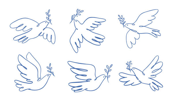 ilustrações de stock, clip art, desenhos animados e ícones de peace dove with olive branch symbol. bird symbol of peace and freedom in simple linear style. doodle vector illustration - tranquilidade