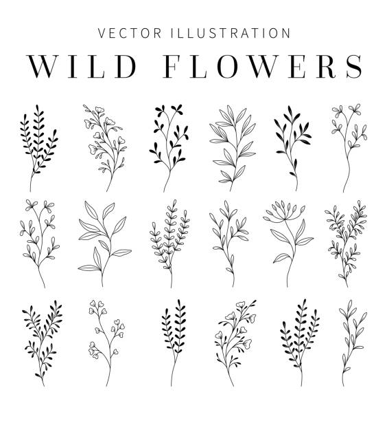 wildflowers clipart na zaproszenie ślubne. - kwiat stock illustrations