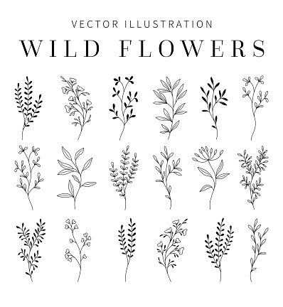 istock Wildflowers Clipart for wedding invitation. 1429156688
