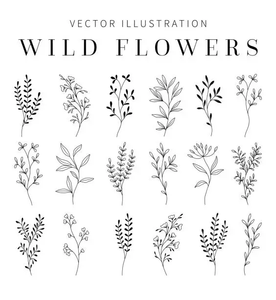 Vector illustration of Wildflowers Clipart for wedding invitation.