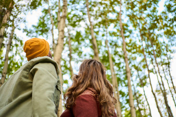Young couple looking at trees during an autumn walk