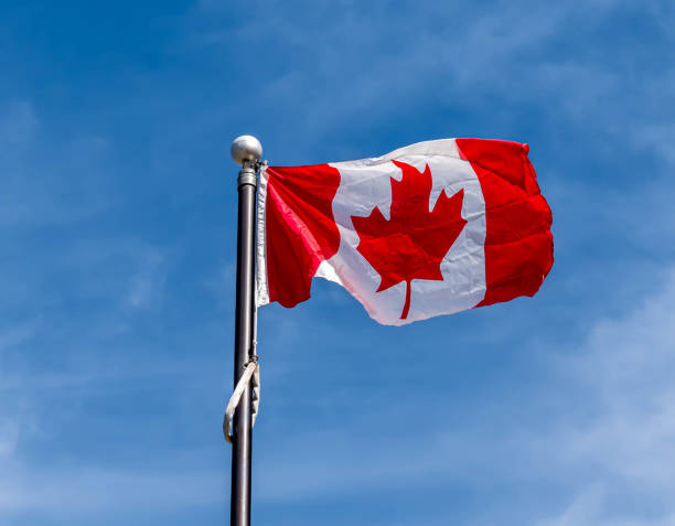 istock Flying the Canadian flag 1429185647
