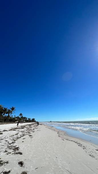 istock AT THE BEACH ONE DAY AFTER HURRICANE IAN 1429189391