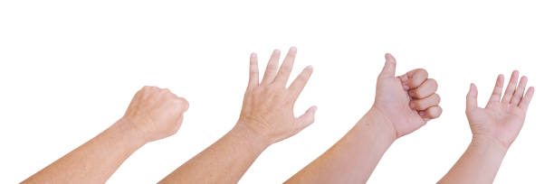 istock Set of 4 human hand gestures isolated on white background. 1429191874