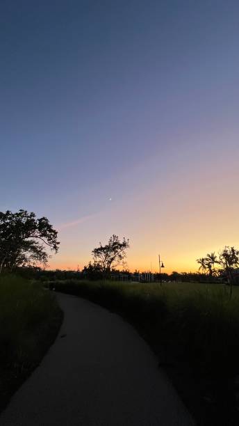 istock PURPLE NIGHT AT THE PARK  AFTER SUNSET 1429191970