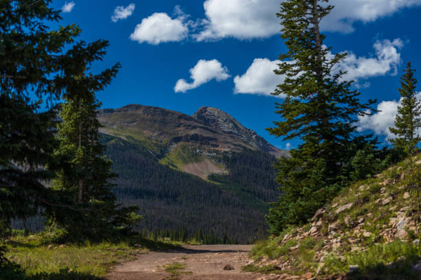 istock Snowdon Peak with road and pine trees 1429223831
