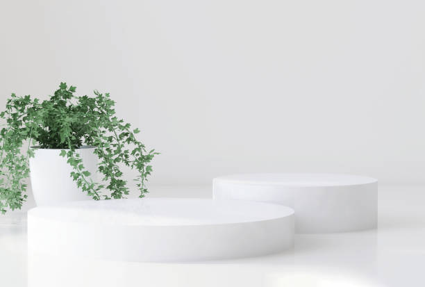 istock Glossy white round cylinder ceramic podium  with plant in vase with sunlight and shadow on white wall and floor 1429238649