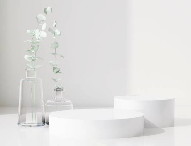 Glossy white round cylinder ceramic podium  with plant in vase with sunlight and shadow on white wall and floor