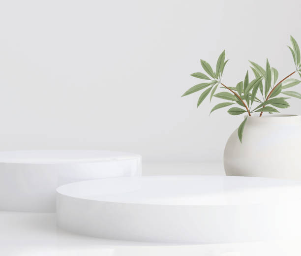 istock Glossy white round cylinder ceramic podium  with plant in vase with sunlight and shadow on white wall and floor 1429238713
