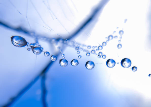 istock Macro shoot of bubble water 1429241635