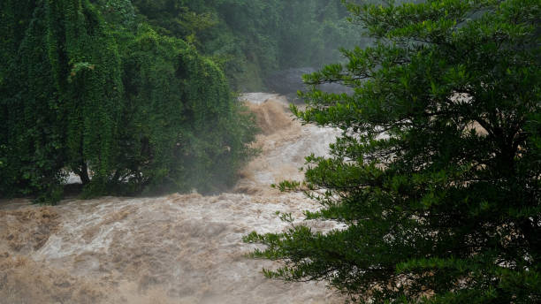 istock Waterfall cataract in forest mountains. Dirty streams are flowing down the mountain slopes of the mountain forest after heavy rains in Thailand. River flood, selective focus. 1429247734