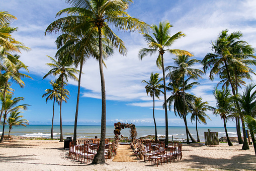Wedding tropical paradise decoration at the beach in Bahia-Brazil. Ceremony on the sand with blue sky and sea surrounded with palm coconut trees in São Miguel dos Milagres-Bahia-Brazil.