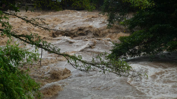 istock Waterfall cataract in forest mountains. Dirty streams are flowing down the mountain slopes of the mountain forest after heavy rains in Thailand. River flood, selective focus. 1429247762