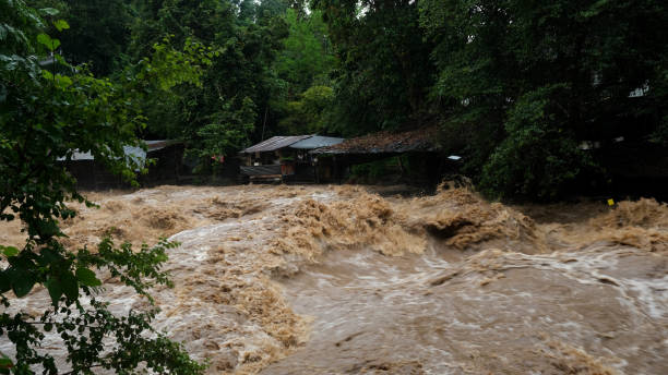 istock Waterfall cataract in forest mountains. Dirty streams are flowing down the mountain slopes of the mountain forest after heavy rains in Thailand. River flood, selective focus. 1429247775