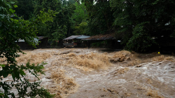 istock Waterfall cataract in forest mountains. Dirty streams are flowing down the mountain slopes of the mountain forest after heavy rains in Thailand. River flood, selective focus. 1429247779