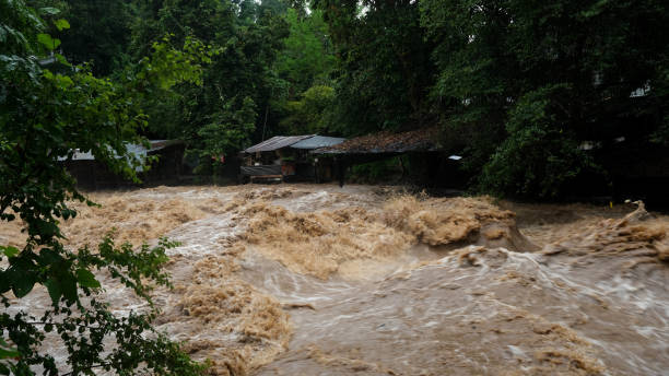 istock Waterfall cataract in forest mountains. Dirty streams are flowing down the mountain slopes of the mountain forest after heavy rains in Thailand. River flood, selective focus. 1429247787
