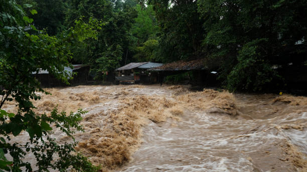 istock Waterfall cataract in forest mountains. Dirty streams are flowing down the mountain slopes of the mountain forest after heavy rains in Thailand. River flood, selective focus. 1429247794