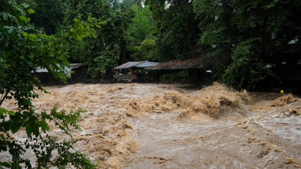 istock Waterfall cataract in forest mountains. Dirty streams are flowing down the mountain slopes of the mountain forest after heavy rains in Thailand. River flood, selective focus. 1429247797