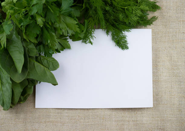 istock Dill, parsley, spinach and white sheet of paper 1429251602