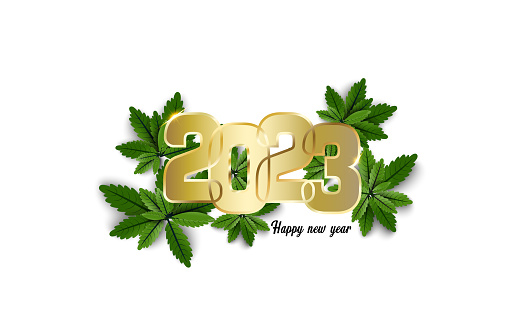 Happy New Year 2023. Design gold metal number on group of green leaves on white background.