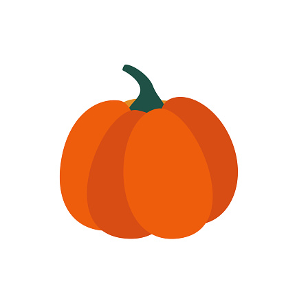 Pumpkin Squash Autumn Vegetable for Halloween or Thanksgiving, Isolated on White, Vector Icon. Flat Cartoon Illustration, Clipart.