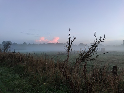 Landscape in the early morning with distant showers over sea that turn pink by the light of the rising sun. Fog has formed over land, contrasting nicely with the pink clouds in the distance.
