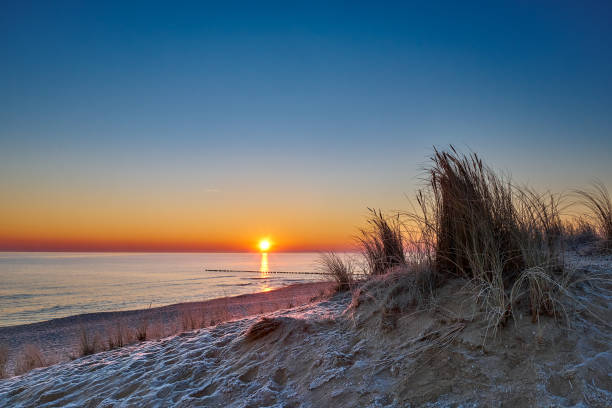 le givre recouvre le sable et l’herbe de plage par une froide matinée d’hiver sur l’île d’usedom - beach sunrise waterbreak sea photos et images de collection