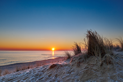 Hoar frost covers sand and beach grass at a cold winter morning on the island of Usedom