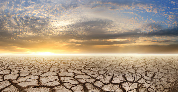 Drought concept. Global warming concept. Dry cracks in the land, severe water scarcity. Front view