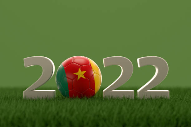 istock Soccer Ball with Cameroon Flag on grass field 1429262910