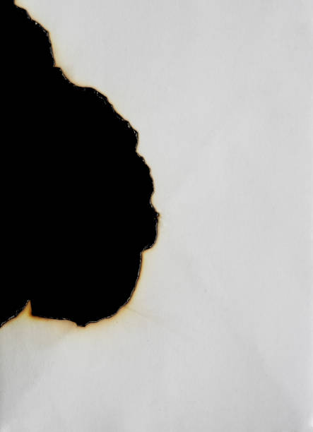istock burnt paper frame for texture overlay. damaged white paper with burnt stain background. blank ripped paper edge for a design element. 1429263216