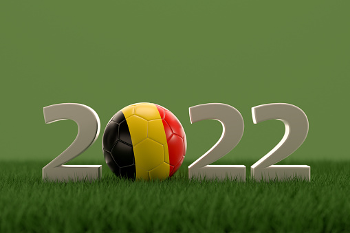 3d rendering of soccer ball with Belgium flag on a grass field.  .