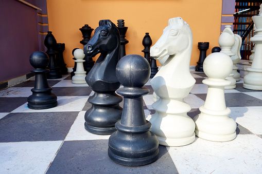 Huge Chess Area