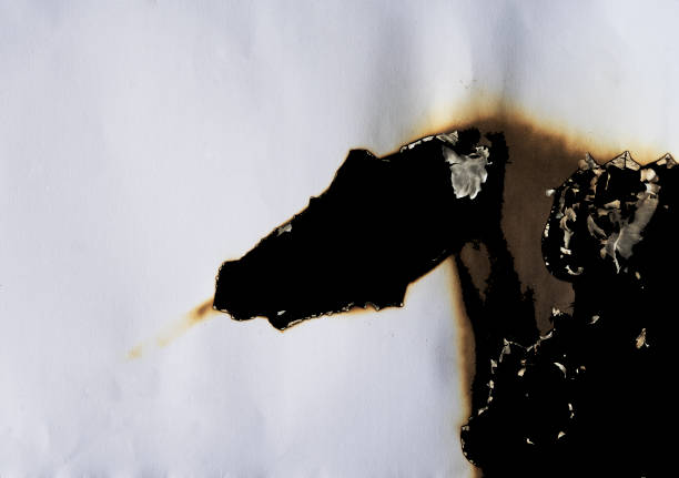 istock burnt paper frame for texture overlay. damaged white paper with burnt stain background. blank ripped paper edge for a design element. 1429264589