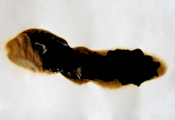 burnt paper frame for texture overlay. damaged white paper with burnt stain background. blank ripped paper edge for a design element.