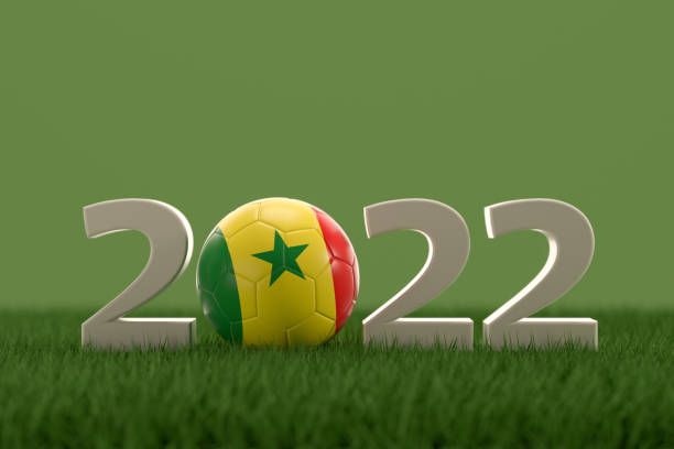 istock Soccer Ball with Senegal Flag on grass field 1429265193