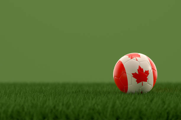 istock Soccer Ball with Canada Flag on grass field 1429272042