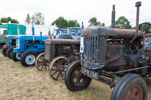 Ilminster.Somerset.United Kingdom.August 21st 2022.A row of Forson Majors from various different eras are on display at a Yesterdays Farming event