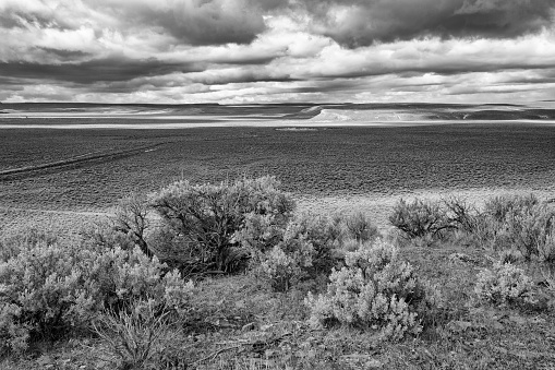 In Western Colorado Black and White Mountain Range Contrasting Nature Scene  on a Gloomy Cloudy Wintry Day (Shot with Canon 5DS 50.6mp photos professionally retouched - Lightroom / Photoshop - original size 5792 x 8688 downsampled as needed for clarity and select focus used for dramatic effect)