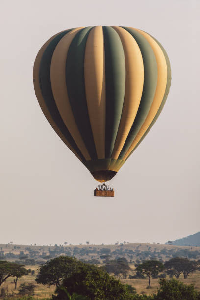 Photo taken in Seronera, Tanzania
