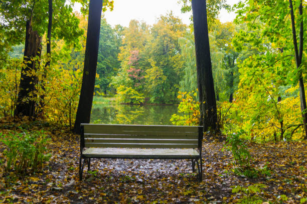 Abandoned old park in the village of Bykovo, Moscow Region on an autumn rainy cloudy day